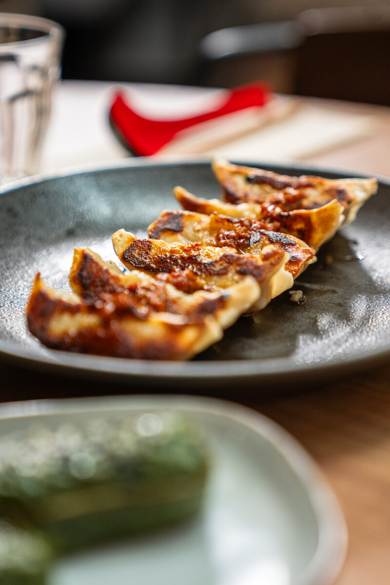 Close-up of golden gyoza dumplings
